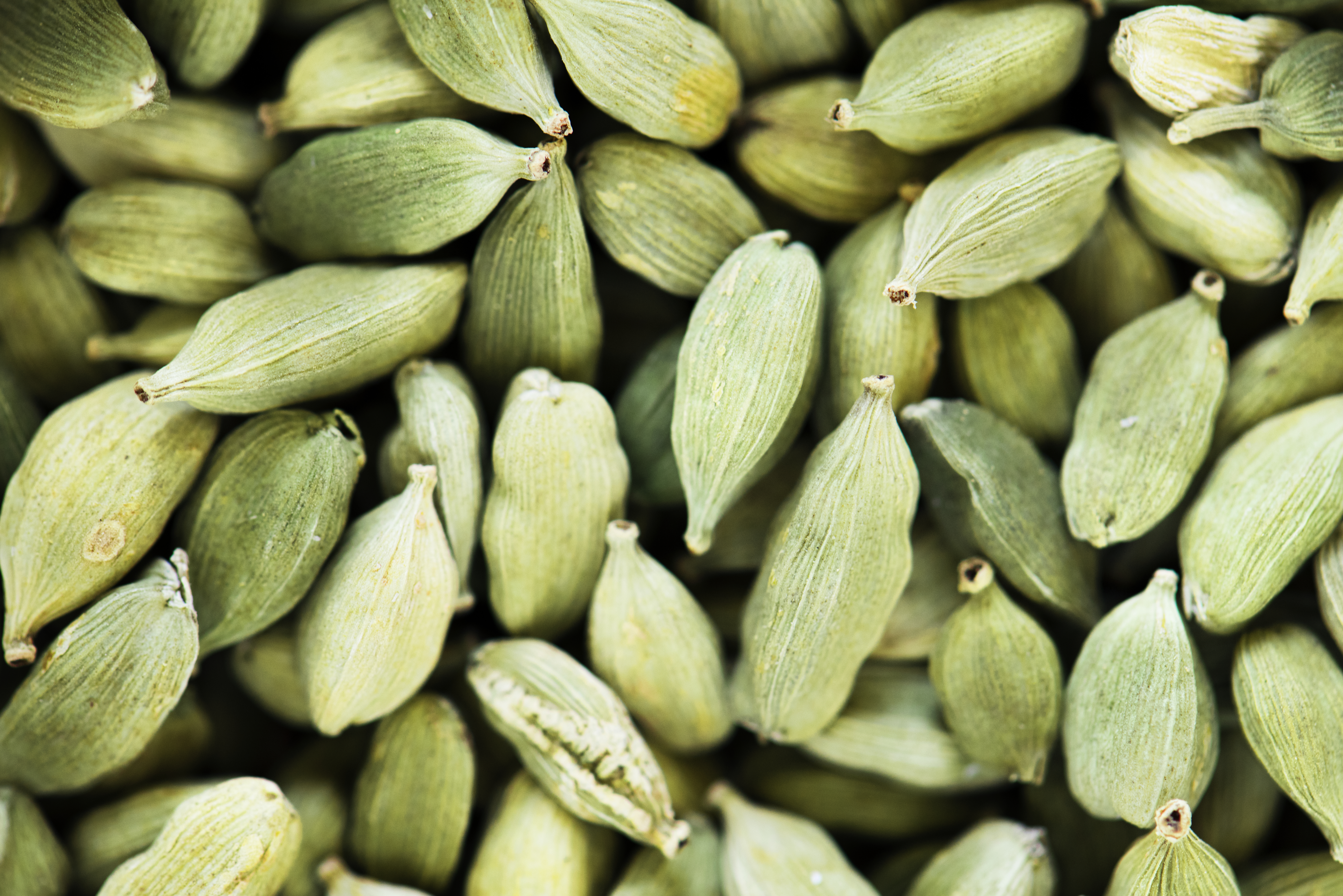 Cardamom